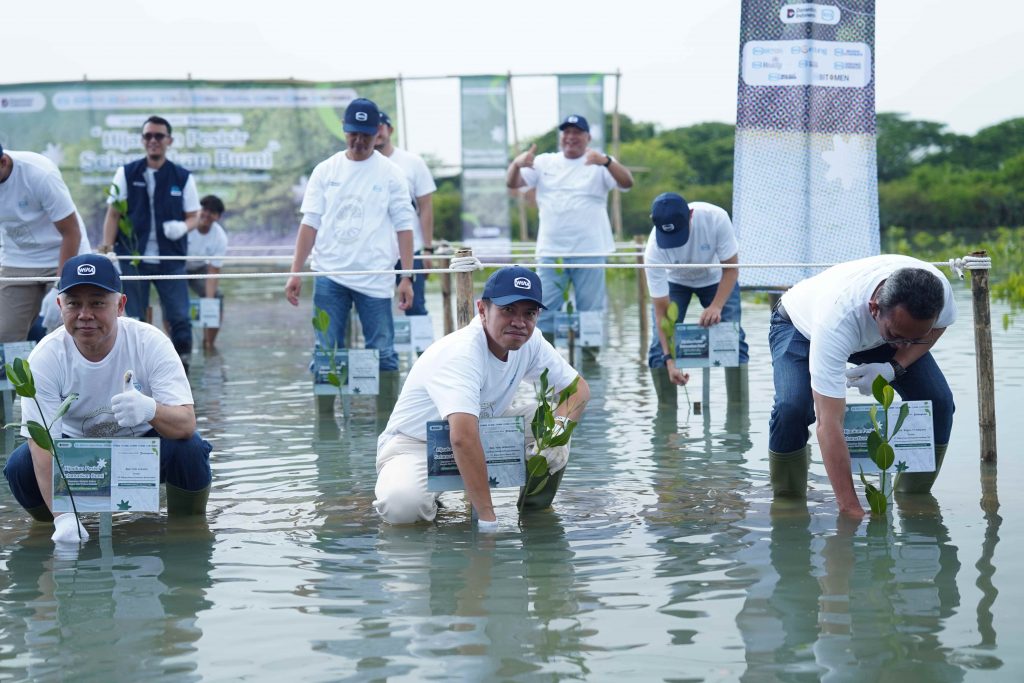 WIKA Beton tanam Manggrove
