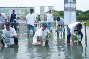 WIKA Beton tanam Manggrove